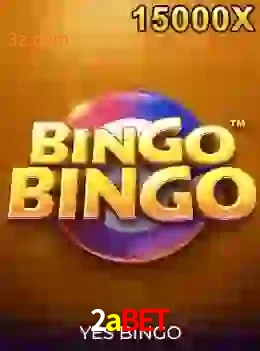bingobingo